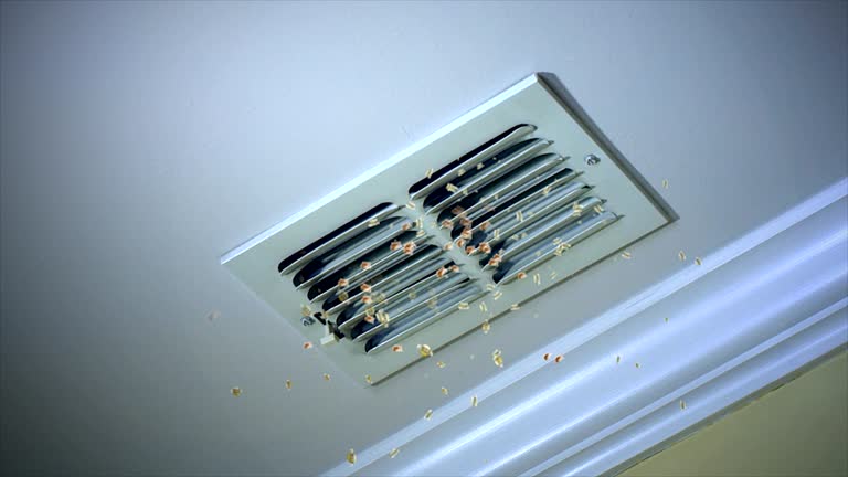 Best Air Duct Mold Removal  in West Elmira, NY